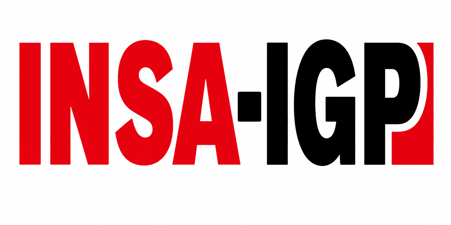 Logo de INSA-IGP