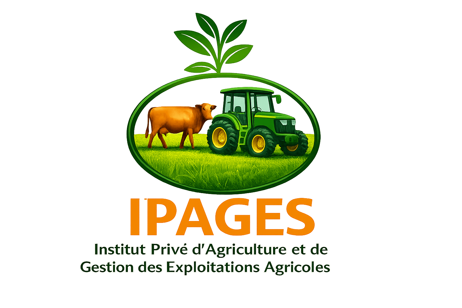 Logo de IPAGES
